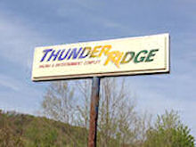 Turf Paradise
