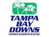 Tampa Bay Downs