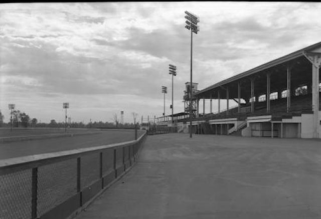 Miles Park