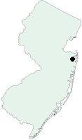 cal