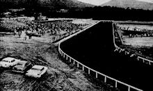 Turf Paradise
