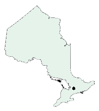 Barrie