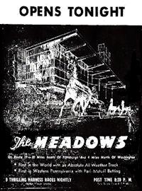 The Meadow