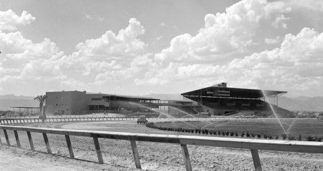 Blue Ribbon Downs